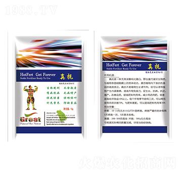 ֲߵ+TE-濹-r(lin)