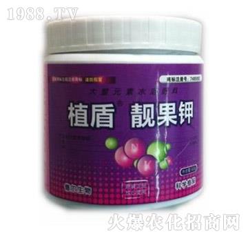 n-ֲ-?tng)? width=