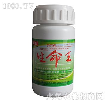 300mlֲˮܷ--˱-S