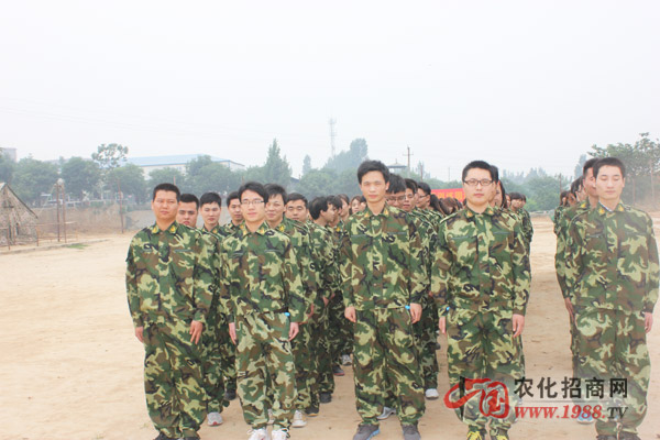 組建團(tuán)隊