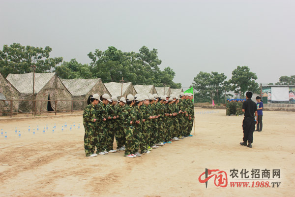 我們是的團隊
