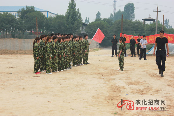 團(tuán)隊組建