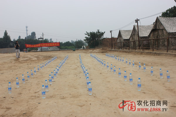 開始組建團(tuán)隊