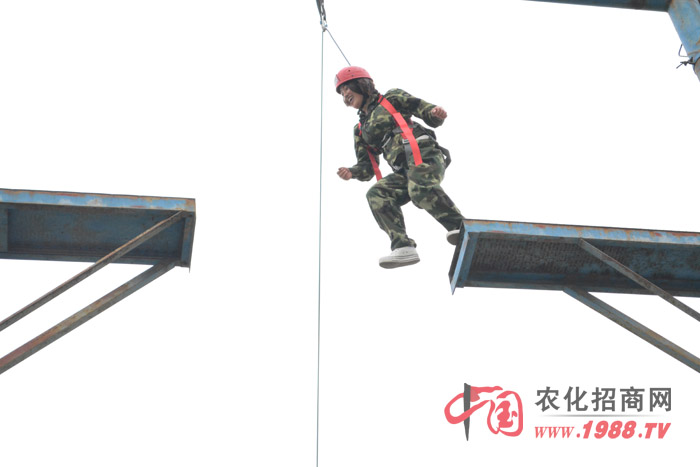 ڶ҂˵(xing)ĿǸ߿Ք@ǂ(g)(zhn)ҵһ(g)(xing)Ŀ
