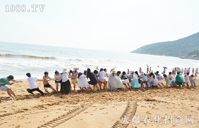 面朝大海,清風徐來--記海州之旅