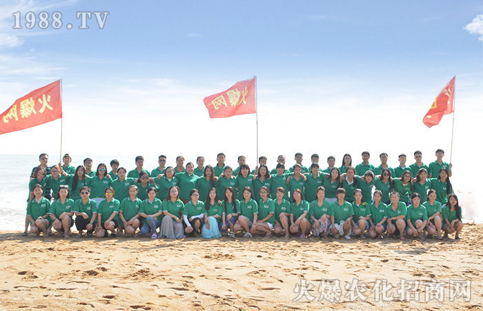 愛上這個(gè)夏天:陽(yáng)光沙灘比基尼和藍(lán)天