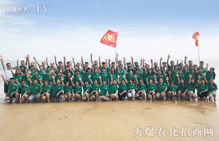 海天相接,我們共度歡樂之旅