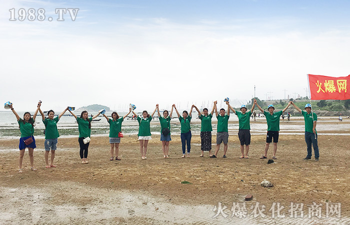 次海邊之旅