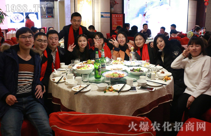 來(lái)我的懷里或者讓我住進(jìn)你的心里——給火爆網(wǎng)的一封信