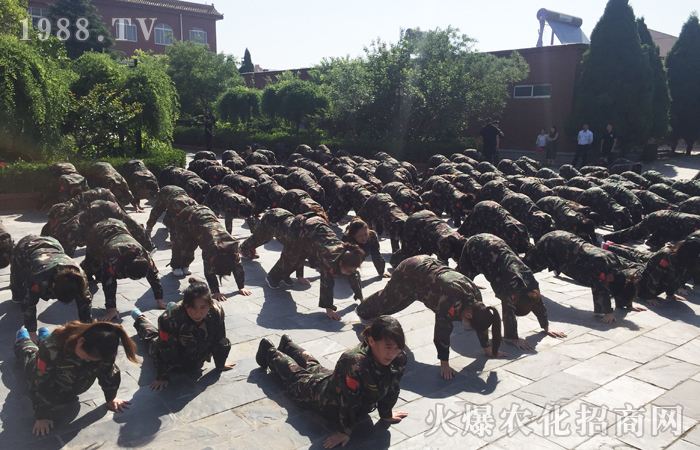 只要不死,就堅(jiān)持住
