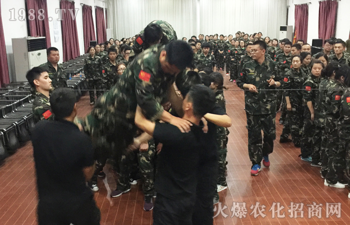 2017動(dòng)能覺醒培訓(xùn)總結(jié)