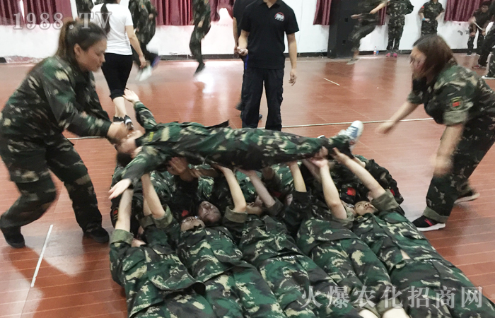 用心去做去堅持,你終將會收獲滿滿!
