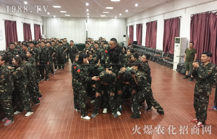 用心去做去堅持,你終將會收獲滿滿!