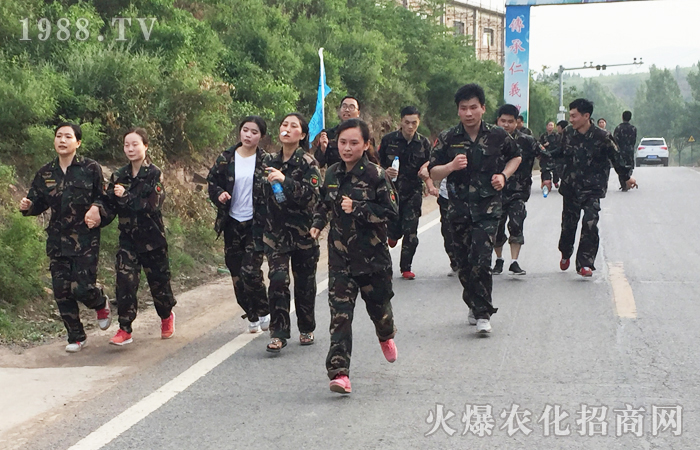 全力以赴