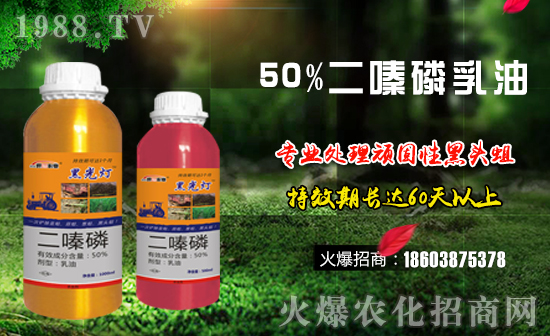 【德國世!孔4蠹倚碌囊荒昀锶f事如意,夢(mèng)想成真!