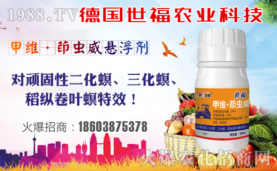 【德國世!孔4蠹倚碌囊荒昀锶f事如意,夢(mèng)想成真!