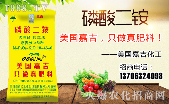 美國嘉吉化工進(jìn)出口集團(tuán)有限公司