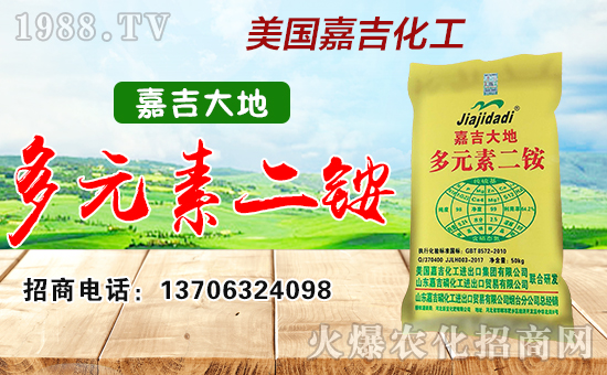 美國嘉吉化工進(jìn)出口集團(tuán)有限公司