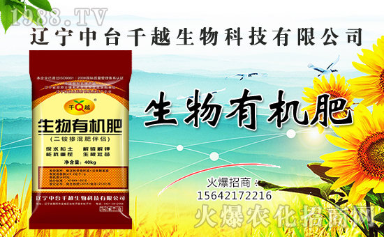 【中臺千越】金犬叩響吉利門,福旺財(cái)源滾滾進(jìn)