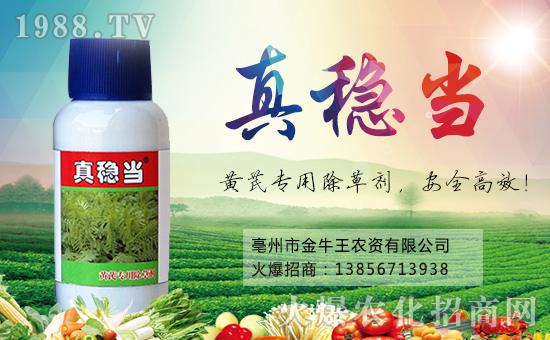 【金牛王】祝大家狗年大吉,萬(wàn)事如意!