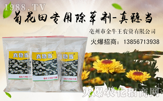 【金牛王】祝大家狗年大吉,萬(wàn)事如意!
