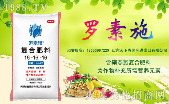 山東天下春國際進出口有限公司