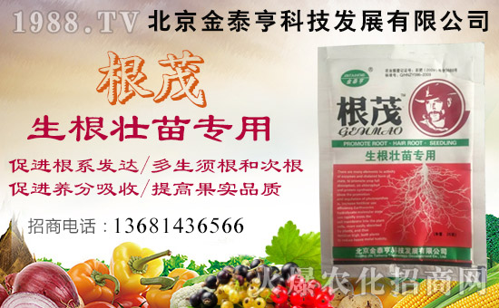 【北京金泰亨】恭祝各位經(jīng)銷商朋友們生意紅火、財(cái)源廣進(jìn)!