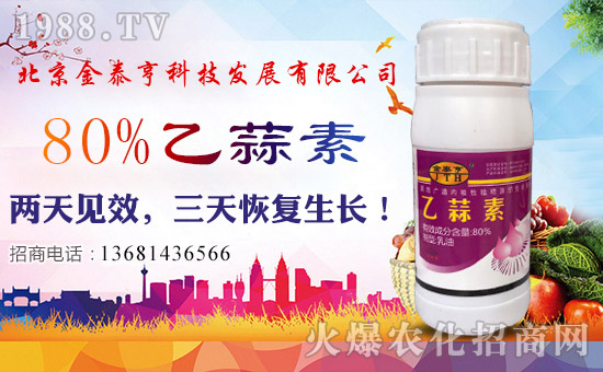 【北京金泰亨】恭祝各位經(jīng)銷商朋友們生意紅火、財(cái)源廣進(jìn)!