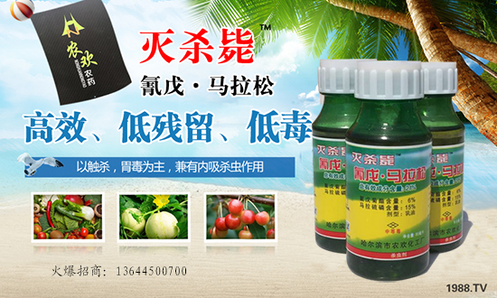 【哈爾濱農(nóng)歡農(nóng)】祝全國朋友開年大吉,萬事如意!