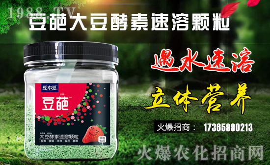 臺(tái)灣豆本豆生化國際有限公司