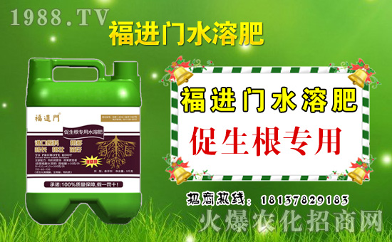 春節(jié)到,財(cái)神到!幸運(yùn)之神伴隨著我的祝福到,新的一年更加珍重,明年生活錦上添花,福進(jìn)門水溶肥祝福您新年大發(fā)!