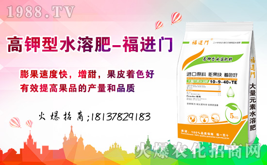 春節(jié)到,財(cái)神到!幸運(yùn)之神伴隨著我的祝福到,新的一年更加珍重,明年生活錦上添花,福進(jìn)門水溶肥祝福您新年大發(fā)!