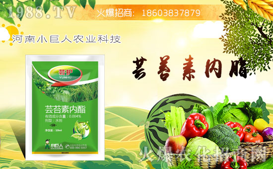 【小巨人農(nóng)業(yè)】祝大家在新的一年里工作順利,步步高升!