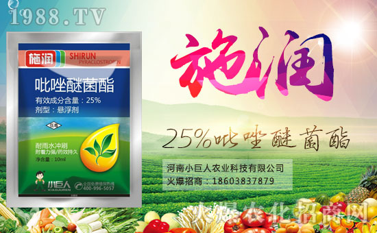 【小巨人農(nóng)業(yè)】祝大家在新的一年里工作順利,步步高升!