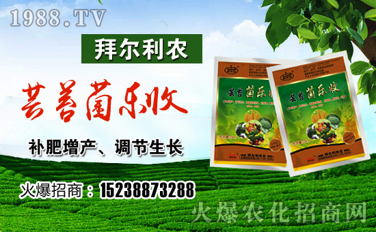 【拜爾利農】祝大家順順利利,紅紅火火!