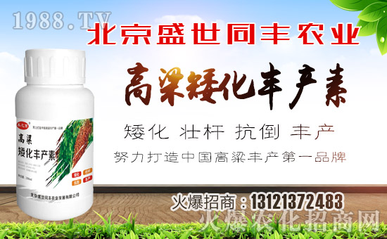 【盛世同豐】祝全國(guó)朋友狗年大吉,萬(wàn)事如意!