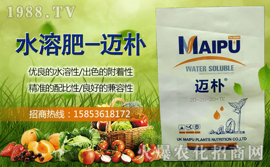 【英國邁樸植物】祝全國朋友身體健康,萬事如意!