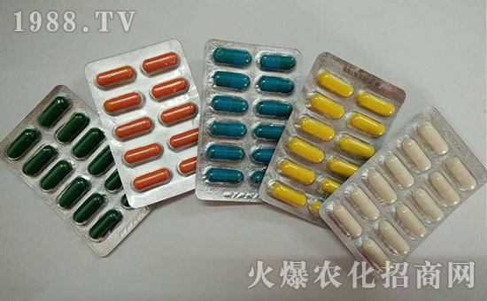 【巨人城生物】全體員工祝大家吉祥發(fā)財(cái),心想事成!