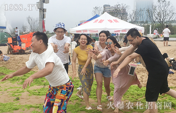 一片海,一群人,一份情,一個(gè)夢(mèng)!