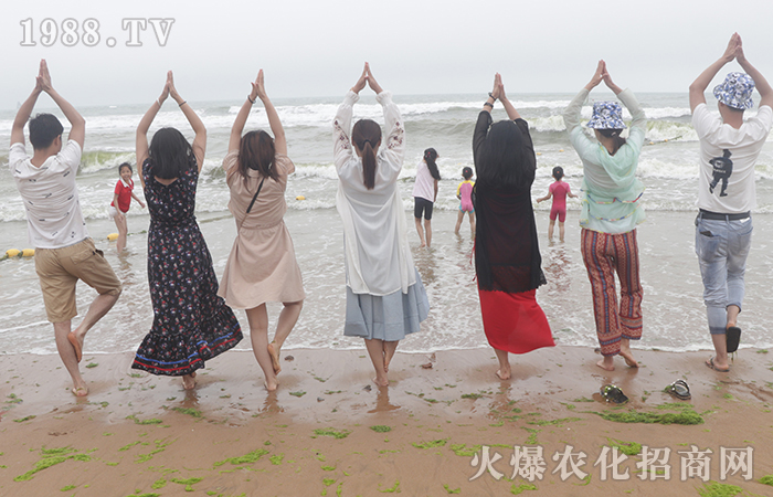 風(fēng)平浪靜的背后,實(shí)則波濤洶涌