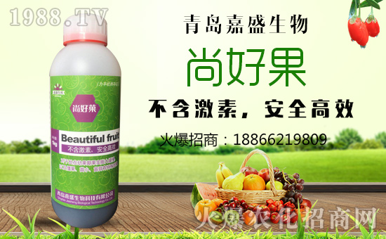 【嘉盛生物】祝大家在新的一年里意興隆、財源廣進!