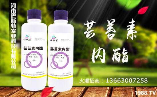 【河南巴斯特】祝大家2018年天天好運(yùn)到,日日福星照!