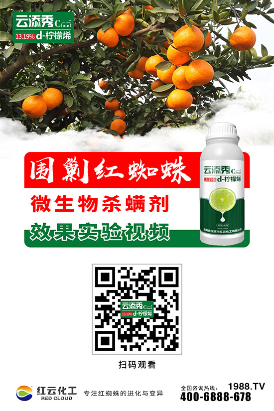 【紅云化工】祝您百福臨門(mén)常有余,祥云瑞氣聚新春!
