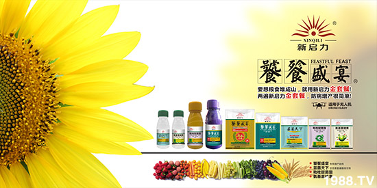 【廣西新啟力】祝大家在新的一年里身體健康,萬事如意!
