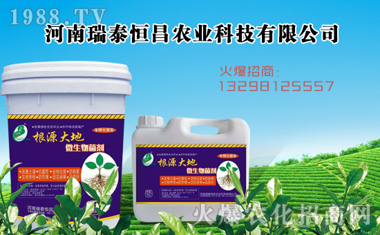 【瑞泰恒昌】全體員工恭祝全國(guó)經(jīng)銷(xiāo)商身體健康,豬年吉祥!
