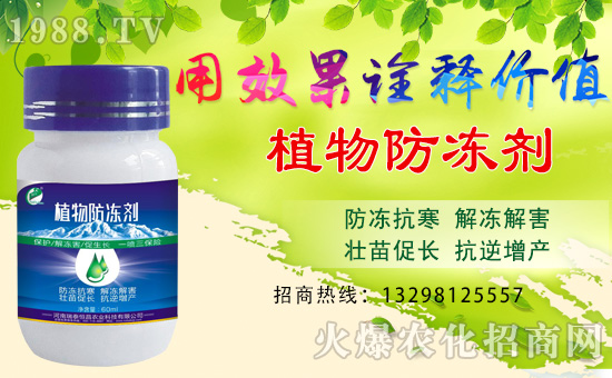 【瑞泰恒昌】全體員工恭祝全國(guó)經(jīng)銷(xiāo)商身體健康,豬年吉祥!