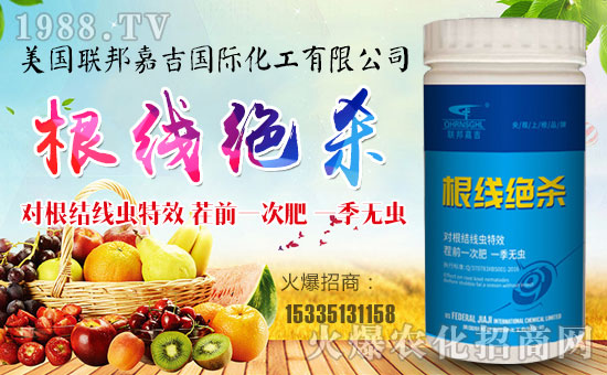 【聯(lián)邦嘉吉】祝大家在新的一年里心想事成,萬事如意!