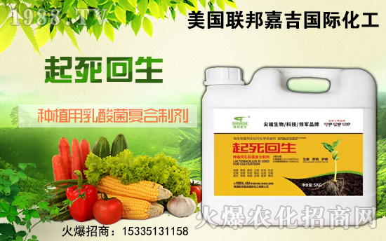 【聯(lián)邦嘉吉】祝大家在新的一年里心想事成,萬事如意!