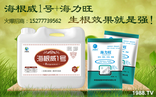 【英國(guó)奧睿施】祝您歡歡喜喜迎豬年,萬事如意平安年!