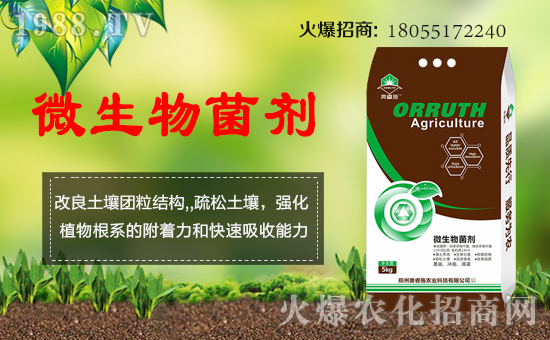 【英國(guó)奧睿施】祝您歡歡喜喜迎豬年,萬事如意平安年!